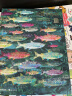 无处不在的鱼（艺术气息浓厚的纸上水族馆，国际大奖获奖插画家创作的趣味鱼类小百科）浪花朵朵 实拍图