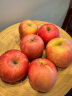 京鲜生 山东烟台红富士苹果 净重5斤 果径75mm+ 新鲜水果 源头直发 晒单实拍图