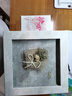 木丁丁生日礼物盒空盒礼品包装盒大号礼品袋结婚伴手礼盒盒子 香草礼物盒【21.5*21.5*16cm】 实拍图