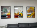 轩棠树客厅装饰画北欧沙发背景墙挂画现代简约卧室餐厅壁画三联晶瓷画 石来运转A款 40*60cm晶瓷画 实拍图
