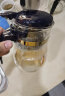 76台湾玻璃泡茶壶飘逸杯内胆过滤耐热耐高温玻璃茶壶 BD-500配4杯+2杯 500ml 实拍图