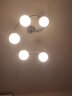 雷士（NVC）雷士照明led灯泡 家用节能灯球泡E27螺口替换光源节能灯泡电灯泡 12W暖黄光 直径65*高131mm 实拍图