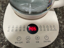 半球（PESKOE）养生壶 1.5升容量烧水壶煮茶器煮茶壶 多段保温提壶记忆智能恒温电热水壶 无滤网 1.5L 实拍图