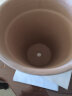 DEROMA进口陶土花盆 帝罗马经典宽边高圆陶土花盆 复古透气种植盆 条纹白陶 22# 实拍图
