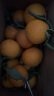 正宗奉节脐橙甜橙纽荷尔新鲜采摘当季水果5/10/20斤重庆水果橙子 中果实惠装 正宗奉节纽荷尔带箱10斤 晒单实拍图
