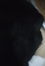 【肥佬300斤胖哥超大码8XL】特大码夏季冰丝薄款速干裤男加肥加大码弹力宽松透气胖子运动长裤300斤 黑色 冰丝罗纹裤 2XL（135-155斤） 实拍图