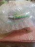 欧悟碗莲种子室内盆栽水培植物水养荷花绿植花卉风信子水仙花种球睡莲 玻璃盆水培莲花套装 实拍图