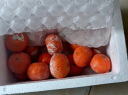良知农哥广西茂谷柑 新鲜橘子柑橘桔子脏脏柑 实惠花皮果【外皮不好看】 9斤中小果 约5-6个/斤 实拍图