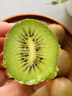 捌零鲜生物语陕西周至徐香猕猴桃绿心奇异果水果非翠香亚特中秋礼盒送礼选真的 30枚优选中果 【贵一点点但送礼选真的徐香】单果60-80g 实拍图