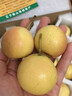 梦宛怡辽宁鞍山特产南果梨东北当季酒香水梨子现摘新鲜酥脆南国梨水果 带箱2斤中大果尝鲜装 精品果 实拍图