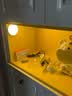 鸿视 led人体感应灯充电床头卧室家用全自动不插电声控光控壁灯小夜灯 充电双色400毫安 实拍图