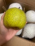 【顺丰】莱阳慈梨 山东烟台莱阳茌梨特产贡梨脆甜梨子 新鲜水果 9斤特大果 9-10个 照旺庄百年老梨树 实拍图