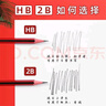 晨光（M&G）铅笔小学生HB无铅毒六角笔杆考试素描绘图2B铅笔儿童幼儿园初学者用一二年级学习专用 【特价尝鲜】10支/2B/1盒 送卷笔刀+橡皮 实拍图