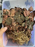 斛老仙福建南靖金线莲 整株中草药材原料干货 金钱莲端午节盒仿野生官旗 【整珠金线莲200克】【送4豪礼】 福建南靖核心产区 多年深山野外种植 实拍图