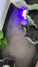 森森（SUNSUN）鱼缸潜水泵抽水泵小型假山循环泵宠物猫饮水泵 【高颜值】6W流量可调 带水管 实拍图