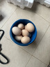 葛溪正太年货鲜鸡蛋 无激无抗 早餐 营养鸡蛋  优选鸡蛋40枚/45-50g/枚 实拍图