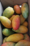 京鲜生海南老树贵妃芒 5斤 单果100g起 红金龙 芒果 热带水果 源头直发 实拍图