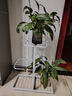 长万家花架客厅家用落地式阳台置物架多层花架立式花盆架铁艺室内装饰架 3层4盆白【加粗升级版】 实拍图