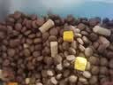 优基（YJ）益生菌冻干狗粮成犬无谷益生元全价全犬种通用型鸡鸭肉犬粮营养 7.5kg通用成犬粮 实拍图
