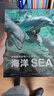 中国国家地理少儿百科·海洋（海洋世界启蒙百科全书，上百幅世界地图，震撼的视觉体验。参考书式的资料汇编，海洋数据、物种名、科学词汇、地名索引等  中国国家地理） 实拍图