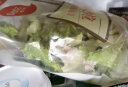 绿行者 新鲜蔬菜沙拉3包 混合生菜沙拉200g*3包 生鲜健康轻食 开袋即食 晒单实拍图