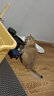 冠能猫粮成幼猫全价室内猫粮2.5kg猫咪粮英短蓝猫成幼猫7kg 25.7到期冠能幼猫奶糕1.5kg 实拍图