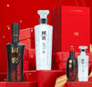 国窖1573【父亲节礼赠】浓香型白酒 52度 500mL 2瓶 +100ml*2君者气宇 实拍图