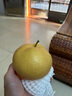 攸竹秋月梨山东莱阳羊脂秋月梨当季时令冰糖梨子新鲜水果礼盒 精选秋月梨【单果250g+】8斤超值装 实拍图
