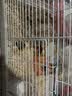 宠乐侠金丝熊仓鼠笼子专用豪华别墅便宜大的饲养窝箱小屋房子用品齐全易 47裸笼（新手不建议购买） 实拍图