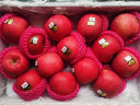 都乐Dole 烟台红富士苹果 特级铂金果4kg新年礼盒装 单果重250g起 晒单实拍图