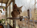 聚悠宠猫吊床猫咪吊床窗户猫晒太阳挂床阳台猫窝吸盘式玻璃吊篮猫床用品 灰色兔毛绒布保暖款-吸盘固定 标准号(床面约30*45cm） 实拍图