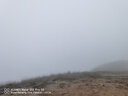 沃森斯户外登山雨衣超轻徒步男女通用旅游雨披背包防雨罩便携式长款 桔色 M 实拍图