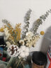 爱满（AIMAN） 玫瑰尤加利干花花束客厅玄关摆件ins北欧风拍照道具diy插花送礼 白罗兰棉花花束 无瓶 实拍图