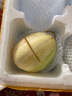 旷古农业东北白糖罐香瓜 新鲜脆甜香瓜2kg 新鲜水果京蜜香瓜 实拍图