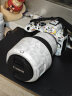 佳能（Canon） EOS R6 Mark II R62全画幅微单相机专业级 佳能r6二代 R6 Mark II单机（全新未拆封独立包装） 官方标配（不含卡/包，仅出厂配置）建议选购套餐 晒单实拍图