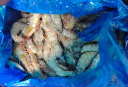 京东京造 鲜冻白虾 净重2kg 80-100只 活虾急冻大虾对虾海鲜水产 晒单实拍图