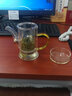 斌能达（BIN NENG DA） 加厚全玻璃绿茶泡茶壶过滤冲茶器红茶泡简约办公室功夫茶具小号 小号茶色把单壶 250ml 实拍图