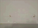 胶码氏补墙膏 防水补墙膏白墙面修补膏补墙漆墙面裂缝修补乳胶漆修复膏 补墙膏（250g） 实拍图