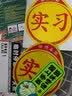 威曼斯新手上路车贴磁吸反光贴女司机实习标志磁性汽车贴纸个性创意搞笑 【磁吸强反光】叮当猫-新手上路 实拍图