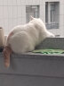 麦富迪（Myfoodie）猫粮 冻干鲜粮三文鱼鸡肉全期猫粮 150g 实拍图