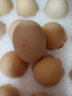 德青源柴垛儿鲜鸡蛋30枚1.29kg 无抗生素 谷物喂养营养早餐礼盒装 晒单实拍图