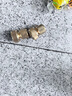汉轩水管软管浇花高压自来水管接水龙头防爆防冻洗车pvc塑料4分6分1寸 6分(50米)配接口 实拍图