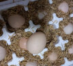 荆品名门鸡蛋 新鲜鸡蛋 正宗散养土鸡蛋 生鸡蛋 12枚 480g 晒单实拍图