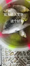 老鬼（OLDGHOST）鱼饵大野战巨物版鲤鱼青鱼草鱼湖库江河池塘野钓饵料基础饵600g 实拍图