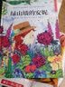 绿山墙的安妮（精装）文学经典 百年童话 小学 一二三四五六年级 课外阅读 3-6岁  实拍图