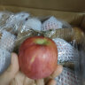 阿克苏苹果新疆阿克苏冰糖心苹果 新鲜时令水果 一级果75-84mm 净重9斤多 晒单实拍图