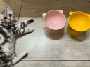 FD.Cattery猫碗陶瓷防黑下巴易清洗易食防打翻高脚护颈猫咪小狗饮水碗猫食盆 实拍图