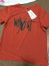 红粉宣言夏季新款高含棉宽松短袖t恤女上衣体恤衫 砖红 M(110-125斤) 实拍图