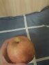 红富士苹果冰糖心丑苹果正宗山西运城时令生鲜脆甜苹果新年年货 9.5-10斤【果王】80+ 实拍图
