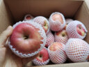 佳农 泰国进口椰青9个装大果 单果900g+ 赠开椰器和吸管 水果年货礼盒 晒单实拍图